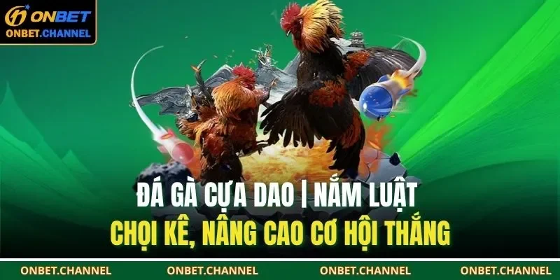 Đá gà cựa dao mang đến một trải nghiệm giải trí