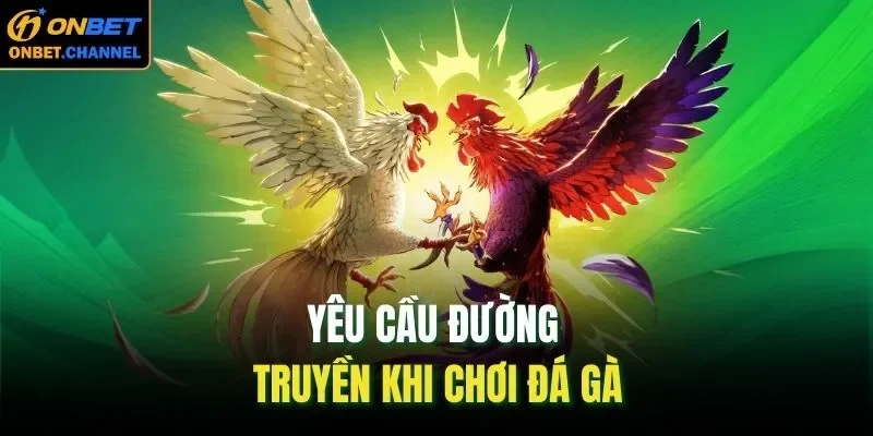 Yêu cầu đường truyền khi chơi đá gà
